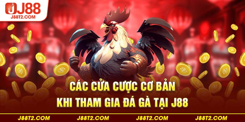 Các cửa cược cơ bản khi tham gia đá gà tại J88