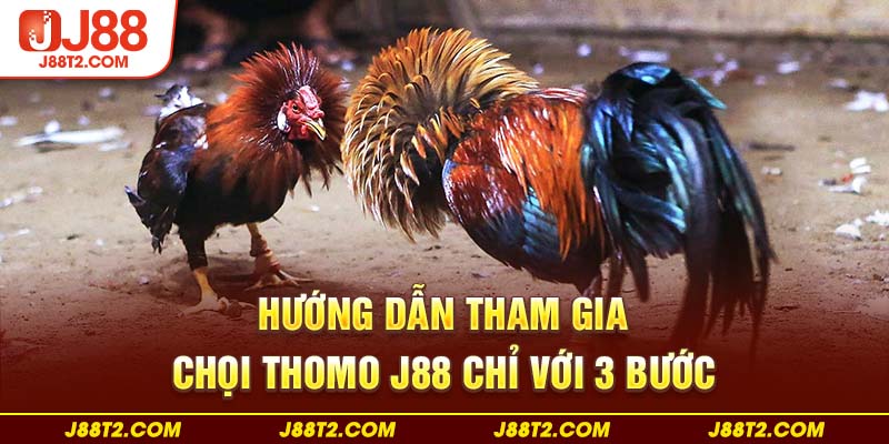 Hướng dẫn tham gia chọi thomo J88 chỉ với 3 bước