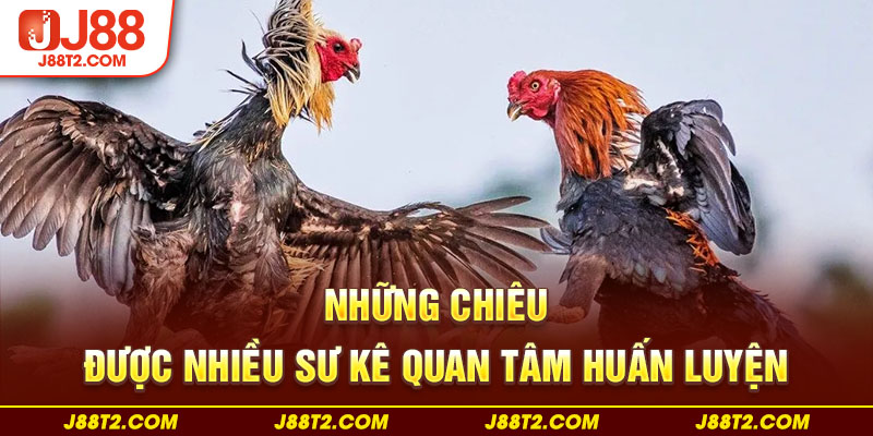 Những chiêu được nhiều sư kê quan tâm huấn luyện