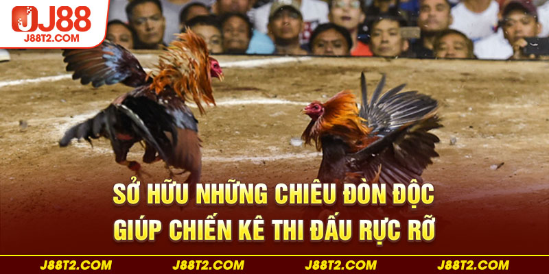 Sở hữu những chiêu đòn độc giúp chiến kê thi đấu rực rỡ