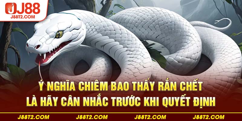 Ý nghĩa chiêm bao thấy rắn chết là hãy cân nhắc trước khi quyết định