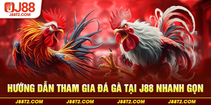 Hướng dẫn tham gia đá gà tại J88 nhanh gọn